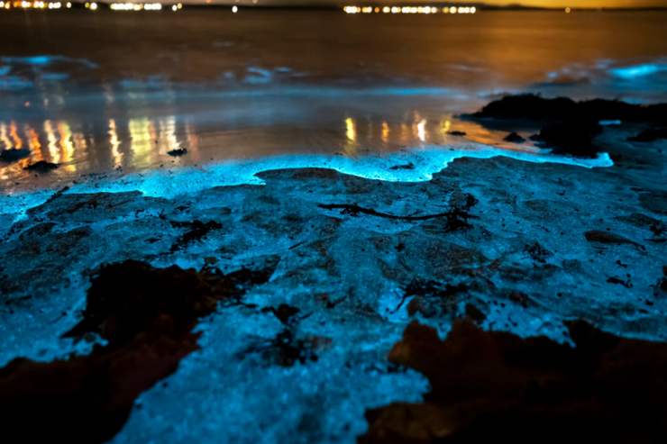 Lo spettacolare fenomeno che avviene sulla spiaggia più bianca del mondo